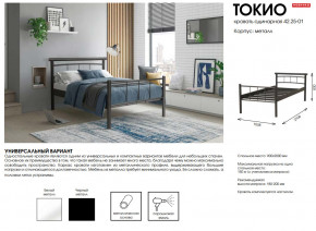 Кровать одинарная 42.25-01 Токио в Сатке - satka.magazinmebel.ru | фото - изображение 2