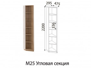 М25 Угловая секция в Сатке - satka.magazinmebel.ru | фото