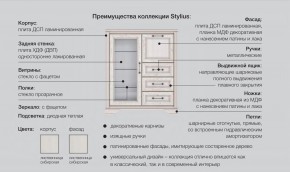 Прихожая модульная Стилиус в Сатке - satka.magazinmebel.ru | фото - изображение 2
