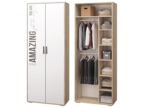 Шкаф для одежды в Сатке - satka.magazinmebel.ru | фото