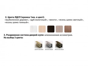 Шкаф-купе Акцент-Сим Д 1000-600 шимо тёмный в Сатке - satka.magazinmebel.ru | фото - изображение 3